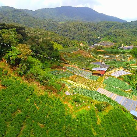 3 Rooms Apt @ Crown Imperial Court Cameron Highlands Exteriér fotografie